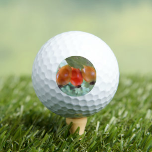 Drie oranje rozenbottels golfballen