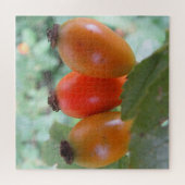 Drie oranje rozenbottels legpuzzel (Horizontaal)