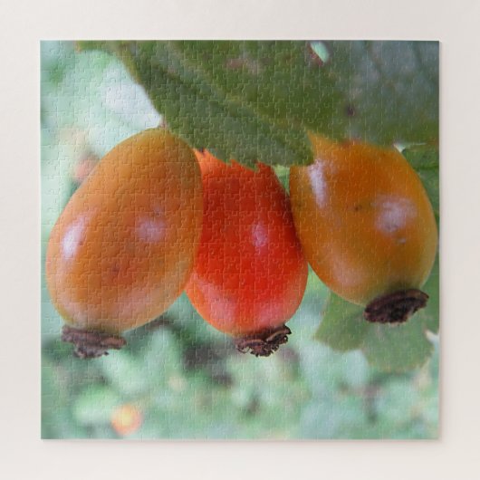 Drie oranje rozenbottels legpuzzel (Verticaal)