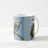Drie Osprey afbeeldingen Coffee Mok (Voorkant rechts)