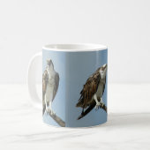 Drie Osprey afbeeldingen Coffee Mok (Voorkant links)