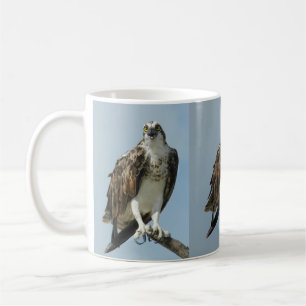Drie Osprey afbeeldingen Coffee Mok