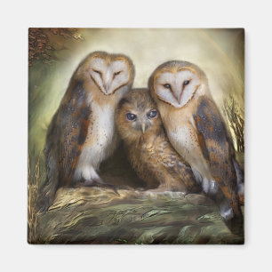Drie Owl Moon Magnet Magneet
