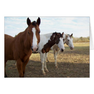Drie paarden (blanco Kaart)
