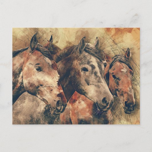 drie paarden briefkaart (Voorkant)