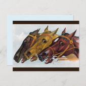 drie paarden briefkaart (Voorkant / Achterkant)