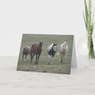 Drie Paarden en een Pony Kaart
