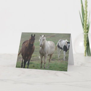 Drie Paarden Friends Forever Kaart