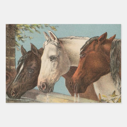 Drie paarden  illustratie inpakpapier vel (Voorkant)