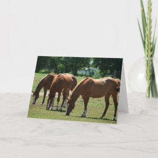 Drie paarden kaart
