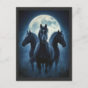 Drie Paarden Maan Briefkaart