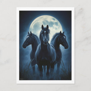 Drie Paarden Maan Briefkaart