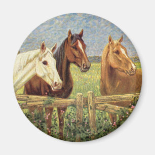 Drie paarden magneet