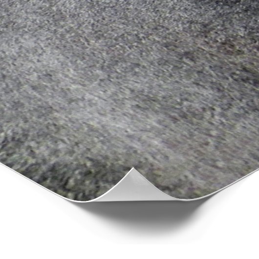 Drie paarden poster (Hoek)