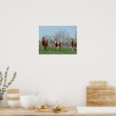 Drie paarden poster (Keuken)