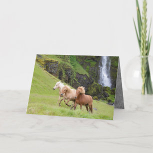 Drie paarden rennen naar Waterfall Horse Wenskaart Kaart