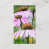 Drie Paarse Coneflowers Visitekaartje (Achterkant)