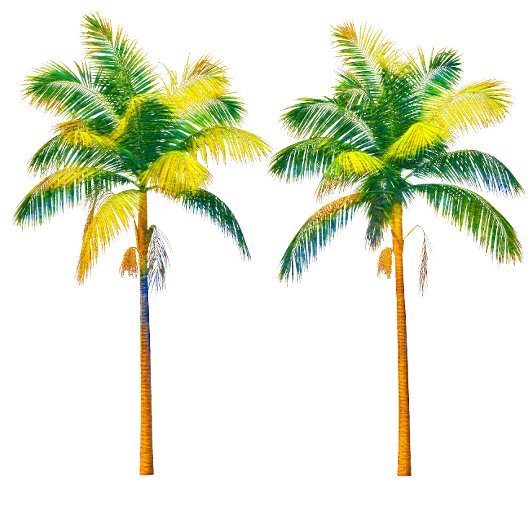 Drie palmbomen t-shirt