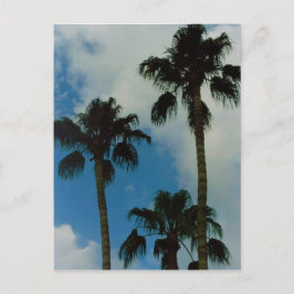 Drie palmen briefkaart