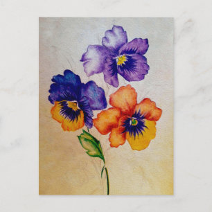 Drie  Pansy bloemen kleurpotloden Briefkaart