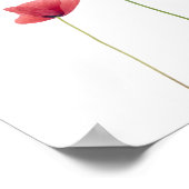 Drie papavers poster (Hoek)