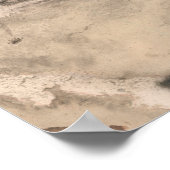 Drie papavers poster (Hoek)