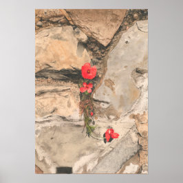 Drie papavers poster