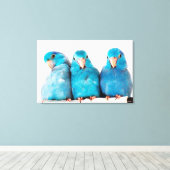 Drie papegaaien Pacific Blue Parrotlets Canvas Art (Insitu (Houten vloer))