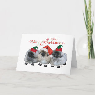 Drie Pekingese Puppy's Kerstmis Feestdagen Kaart