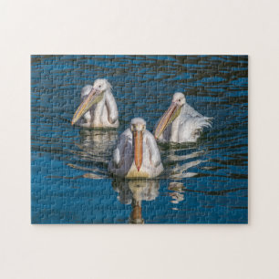 Drie pelikaanse puzzel