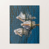 Drie pelikaanse puzzel legpuzzel (Verticaal)