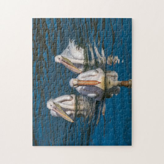Drie pelikaanse puzzel legpuzzel (Verticaal)
