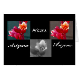 Drie Penstemon bloemen, Arizona