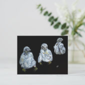 Drie Peregrine Chicken Briefkaart (Staand voorkant)