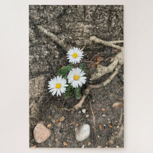 Drie perfecte Daisies tegen een boomstam Legpuzzel
