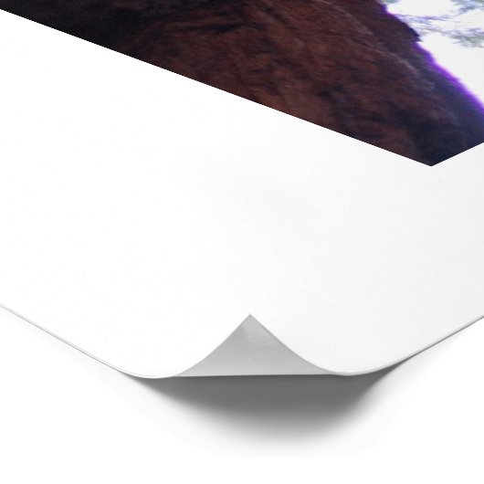 Drie pijlers poster (Hoek)