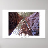 Drie pijlers poster (Voorkant)