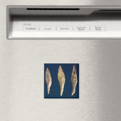 Drie pijlkoppen magneet (Insitu (Vaatwasser))