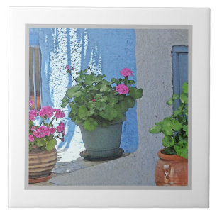 DRIE PINKGERANIUMS/BLAUWE WAL TEGELTJE