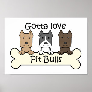 Drie pitbulten poster