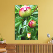 Drie pony-knoppen canvas afdruk (Insitu (Woonkamer))