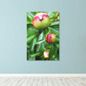 Drie pony-knoppen canvas afdruk (Insitu (Houten vloer))
