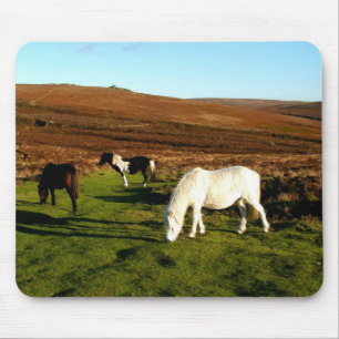 Drie pony's op Dartmoor Muismat