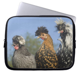 Drie Poolse kippen - Laptop Sleeve