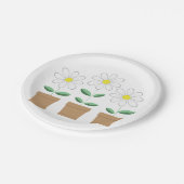 Drie Potted Daisies Papieren Bordje (Gekanteld)