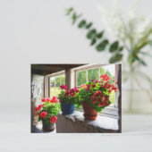 Drie potten Geraniums op Windows Briefkaart (Staand voorkant)