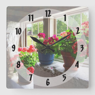 Drie Potten van Geraniums op Vensterbank Vierkante Klok
