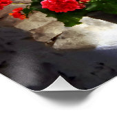 Drie potten van Geraniums op Windows Perfect Poster (Hoek)