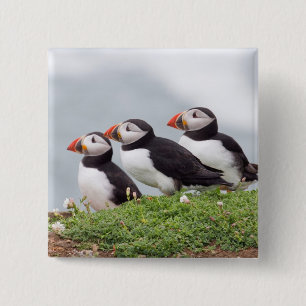 Drie Puffins Vierkante Button 5,1 Cm