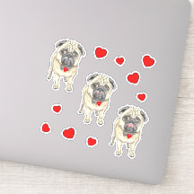 Drie pug-honden
